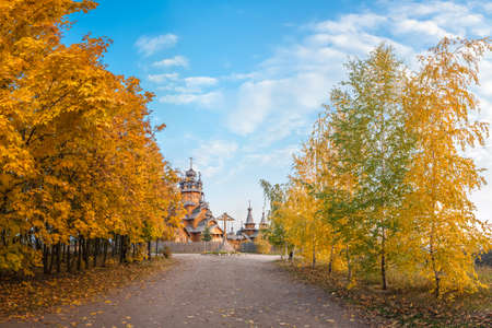 Autumn landscape with road and treeの写真素材