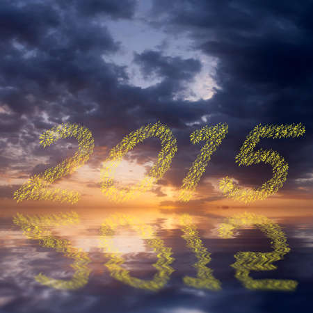 2015 New Year and Christmas holiday fireworks in sky