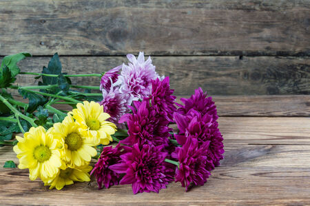 Beautiful chrysanthemum on rustic wooden tableの写真素材