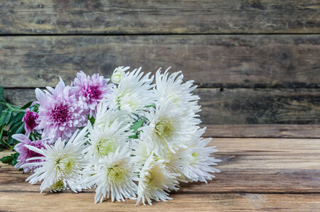 Beautiful chrysanthemum on rustic wooden tableの写真素材