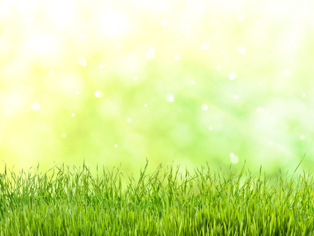 Spring meadow with lovely flower