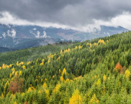Clouds over the mountains with the autumn forestの写真素材