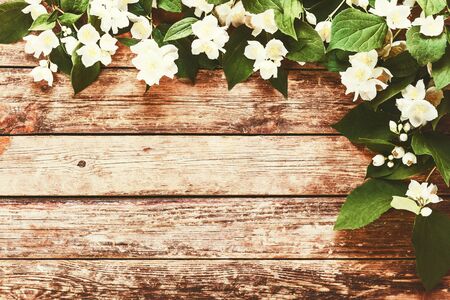 Vintage jasmine flowers in rustic styleの写真素材