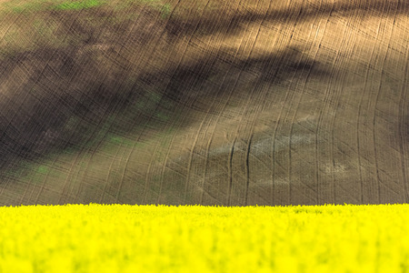 Cultivated field, nature earth backgroundの写真素材