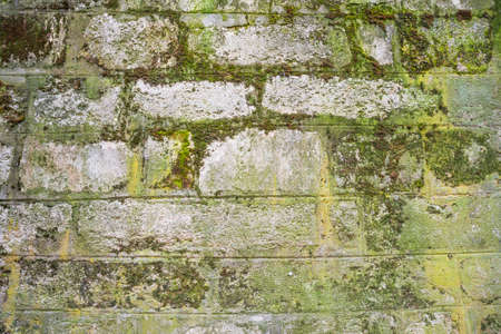 Texture of a brick wall, background for designの写真素材