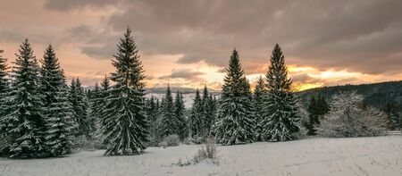 Beautiful sunrise on the background of a winter forest, landscape panoramaの写真素材