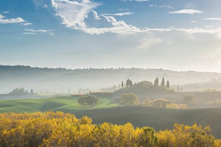 Beautiful agricaltural landscape with hills and trees, Tuscany pictureの写真素材