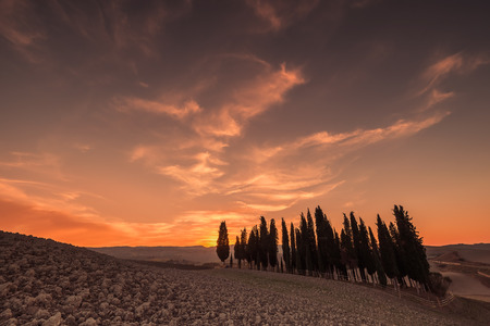 Beautiful decline with cypresses and majestic sky, Tuscany, Italyの写真素材