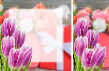 Flower postcard with tulip, empty place for your text, floral background, double sided cardboardの写真素材