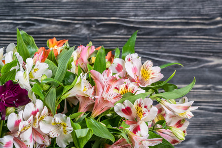 Fresh alstroemeria flowers on wooden background, flower border, floral backgroundの写真素材