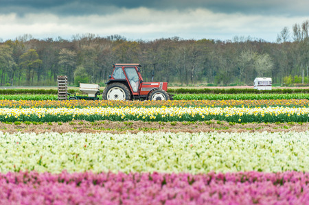 Agricultural landscape with tractor and floral field