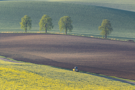 Agricultural landscape with green fields and trees