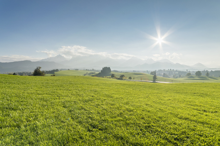 Beautiful landscape with green field and sun in skyの写真素材