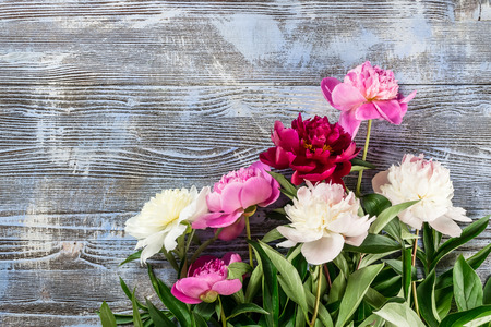 Beautiful floral background with fresh peony flowers on wooden boardsの写真素材