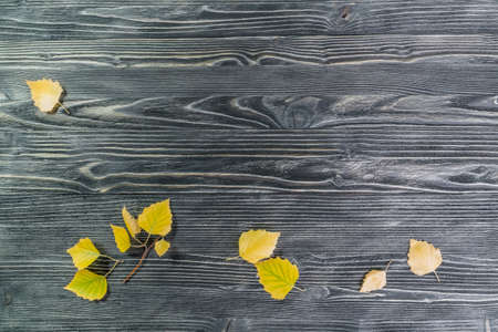 Autumn backgrund - bright yellow and orange leaves on wooden boards