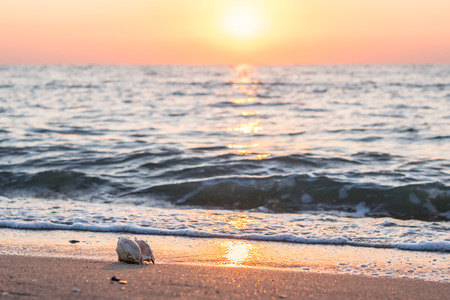 Beautiful seascape with shell on sand and sun in sky, selective focus