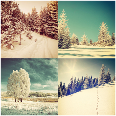 Set of different vintage winter landscape, snow and treesの写真素材