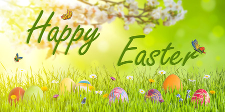 Happy Easter holiday background with eggs, wild flowers and blooming branch, selective focus