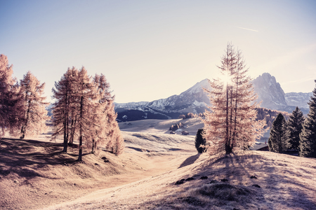 Vintage autumn landscape with mountains and colorful treesの写真素材