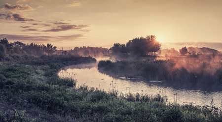 Summer vintage landscape with river on sunrise; flowers and grass, water and treesの写真素材