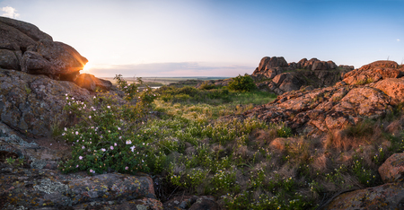 Landscape in sunrise with view on granite stones and bush of dogrose, panoramaの写真素材