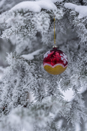 New Year and Christmas background, snow fairytaile, winter holiday wallpaperの写真素材