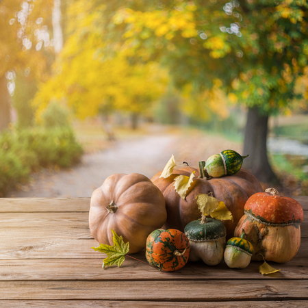 Pumpkin on wooden background, autumn wallpaper, harvestの写真素材