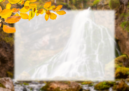 Autumn postcard with leaves, empty place for your text, seasonal nature backgroundの写真素材