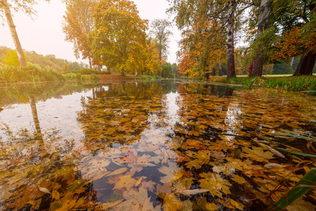 Sunny autumn landscape with bright foliage in water. Lake in city parkの写真素材