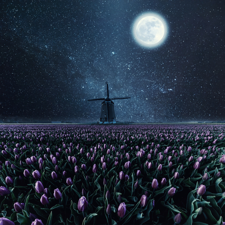 Night field of tulips and windmill. Vintage landscape with stars, moon and flowers. Film filter, retro styleの写真素材