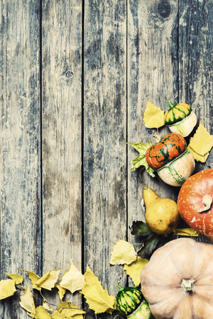 Autumn nature background with yellow leaves and pumpkin on wooden background; Vintage stylization, retro film filterの写真素材