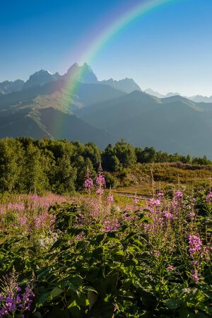 Landscape with blooming flowers and mountains peak, summer rainbow after rain, nature background