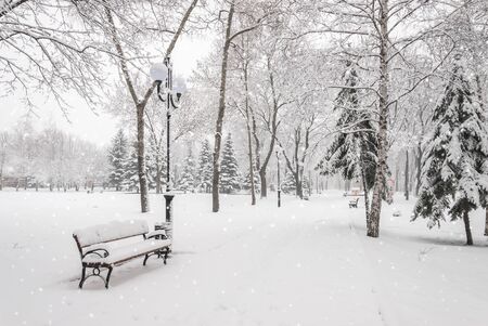 Snowy landscape with snowfall and snowy benches in the winter city park, cityscapeの写真素材