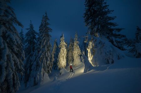 Lonely hiker in winter forest, man in woodland. Hiking lifestyle. Landscape with snowy treesの写真素材