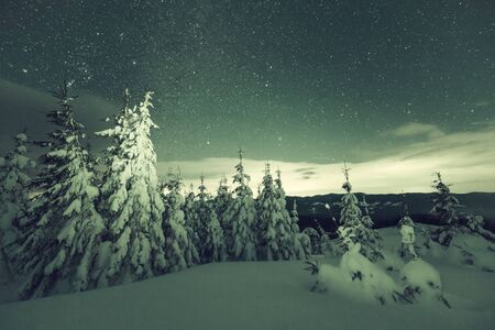Night winter landscape with snowy forest and bright stars in sky. Retro stylization, vintage film...