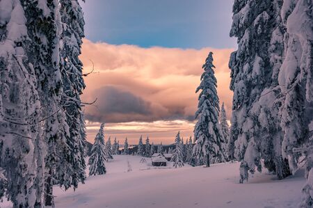 Fairy tale winter landscape with small old house in forest, trees covered by white snowの写真素材