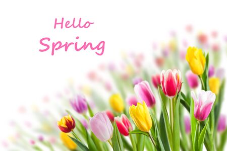 Spring floral background with tulip flowers and hello spring lettering. Holiday and seasonal designの写真素材