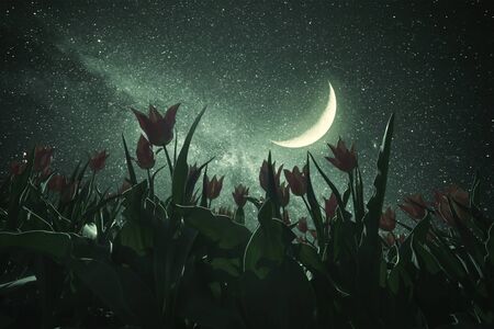 Night landscape with tulips meadow, stars and distant galaxies above. Miky way and moon. Vintage stylization, retro film filterの写真素材