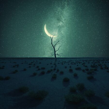 Lonely dry tree in desert on night landscape, stars and moon above, climate change. Vintage stylization, retro film filterの写真素材