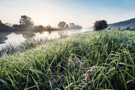 Morning landscape with river and web in grass, spring freshness on sunrise. Retro stylization, vintage film filterの写真素材