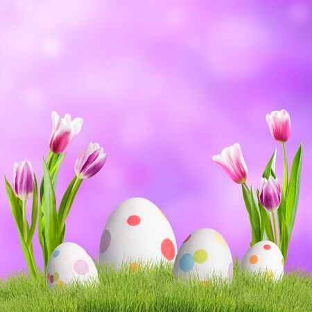 Holiday background with wild flowers and easter eggs in grass; selective focus. Spring banner for your designの写真素材