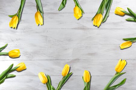 Spring nature background with yellow tulip flowers. Holiday and seasonal design, copy spaceの写真素材