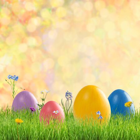 Easter colorful eggs and wild flowers, holiday background for your decoration. Egg hunt, copy spaceの写真素材