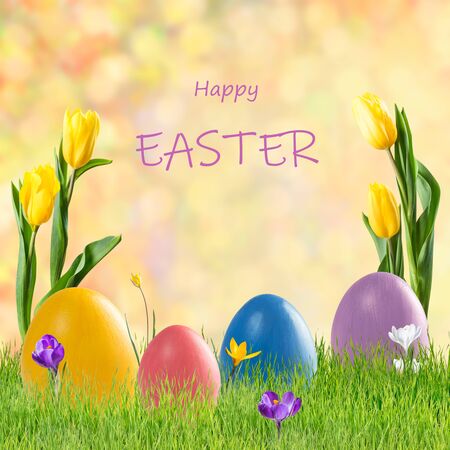Easter colorful eggs and flowers, holiday background for your decoration. Egg hunt, copy space, "Happy Easter" letteringの写真素材