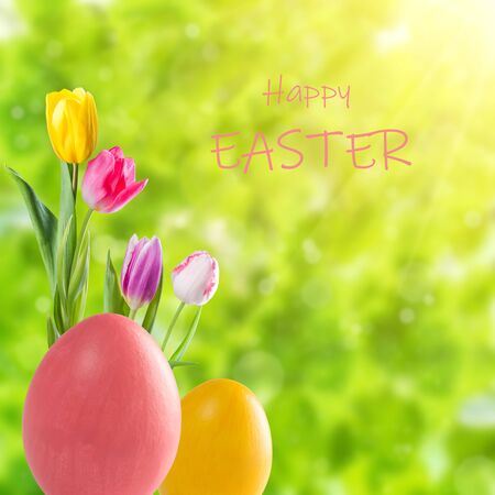 Easter colorful eggs and flowers, holiday background for your decoration. Egg hunt, copy space, "Happy Easter" letteringの写真素材