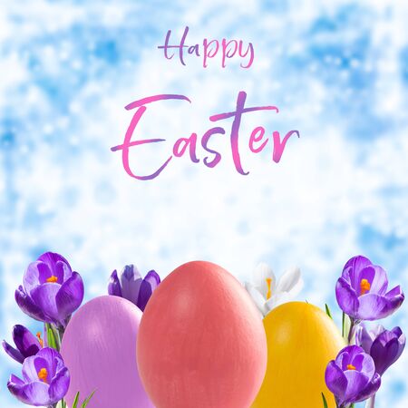 Easter eggs and crocus flowers, holiday background for your decoration. Egg hunt, "Happy Easter"  letteringの写真素材