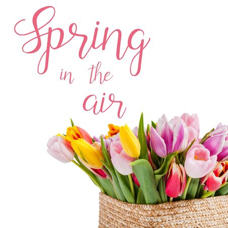 Beautiful tulip flowers isolated on white background and hand lettering spring in the air. Seasonal greeting card designの写真素材