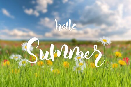 Summer background with chamomile flowers and hand lettering Hello summer on seasonal greeting card. Selective focusの写真素材