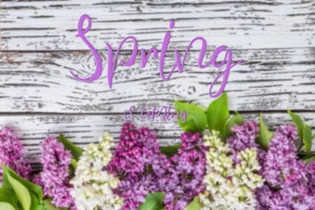 Nature seasonal background with lilac flowers and hand lettering text Spring is coming. Selective focusの写真素材