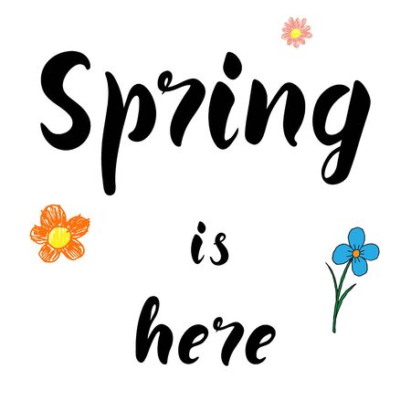 Spring is here lettering hand typography text isolated for greeting card or banner Vector 10 EPSのイラスト素材